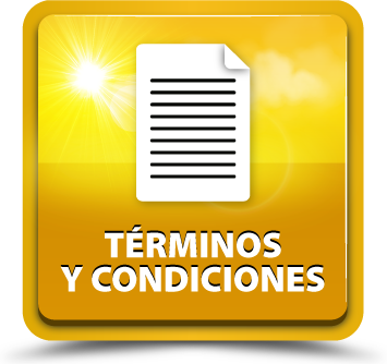 Terms and conditions ES 01